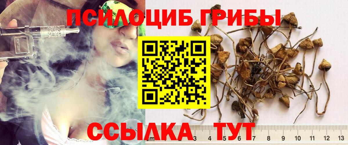 Галлюциногенные грибы Magic Shrooms  Вход с VPN  Железноводск 