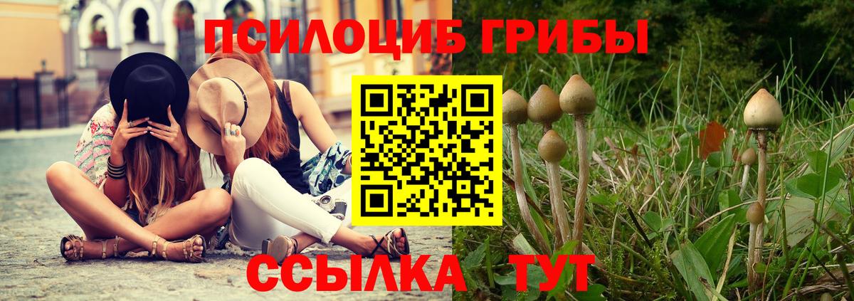 Галлюциногенные грибы прущие грибы Железноводск